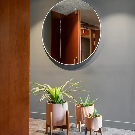 Prestige Goya Park Roses