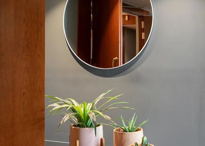 Prestige Goya Park Roses